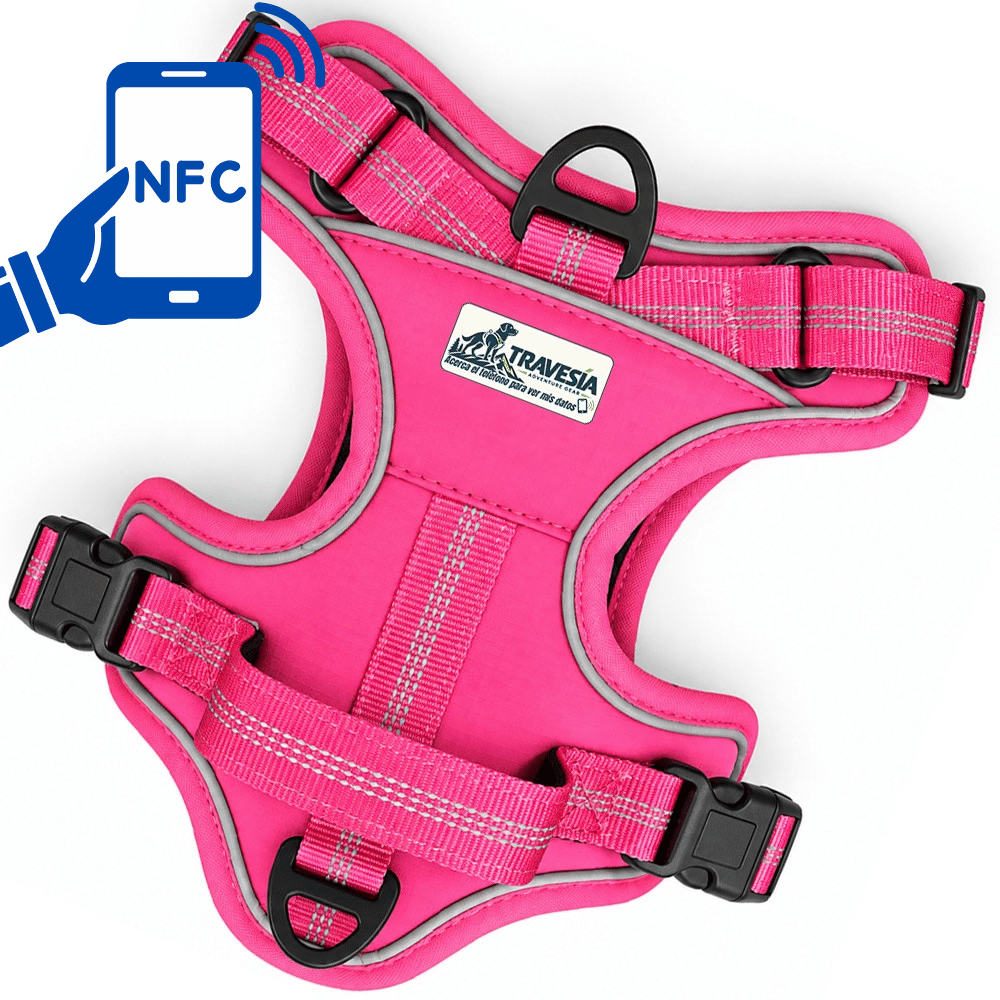 Arnés Antitirones 2 con tecnología NFC