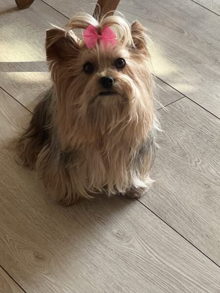 Kika