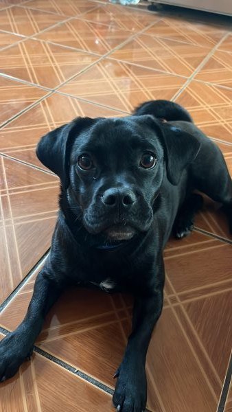 Luna