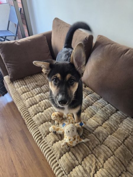 Ellie