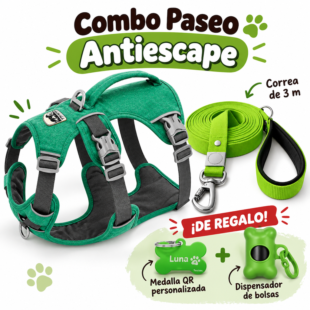 Combo Paseo Antiescape